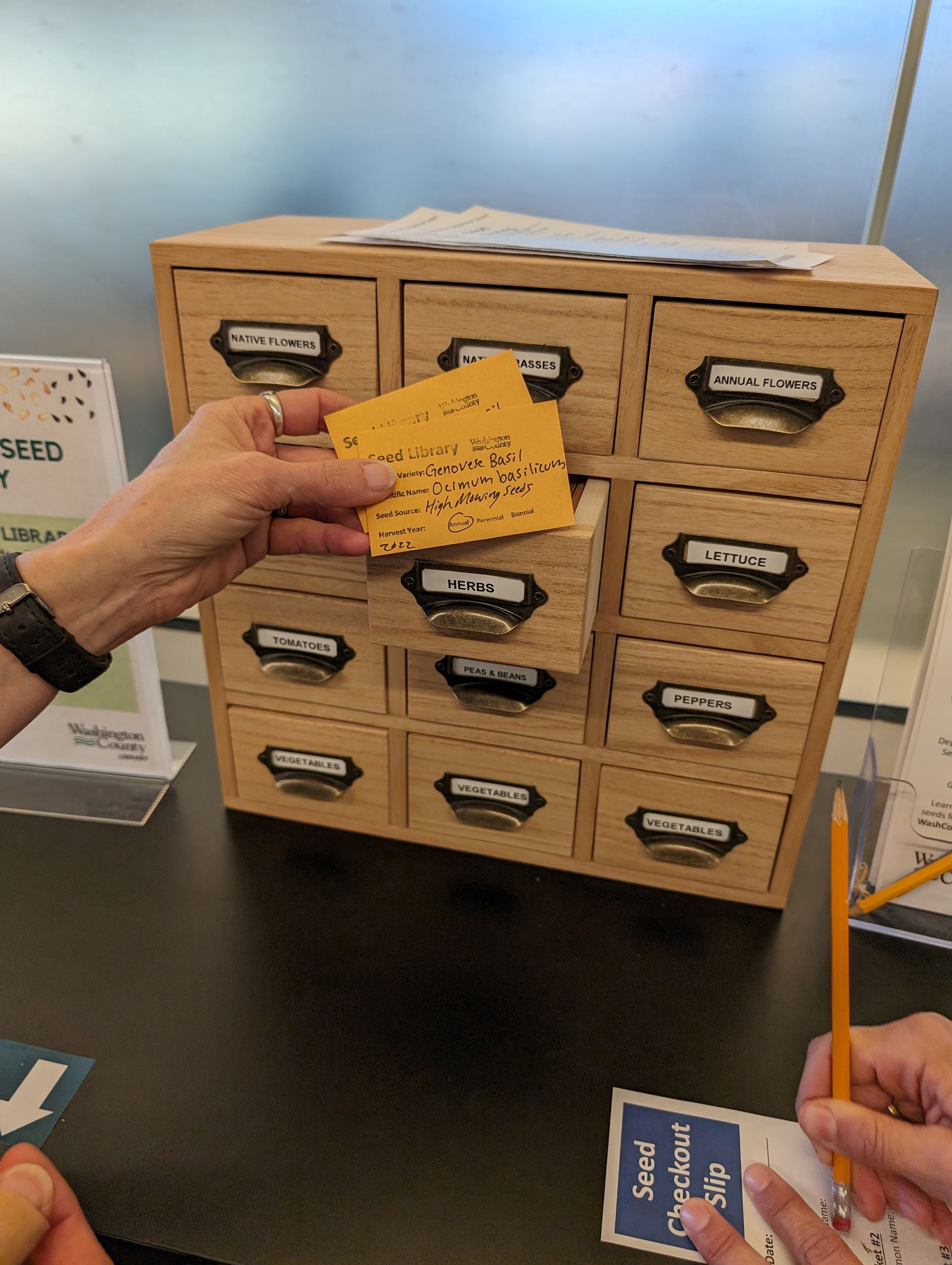 Image of shelving unit with small drawers holding different kinds of seeds.